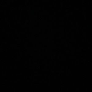 Meet your Posher, Nyla